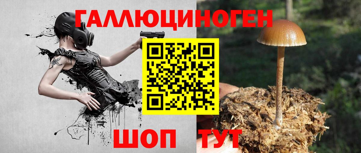 Горячий Ключ  Галлюциногенные грибы прущие грибы  купить   Псилоцибиновые грибы Psilocybe  Вход с VPN 